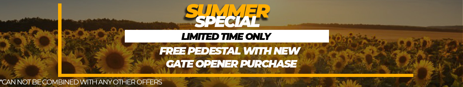 Summer Special